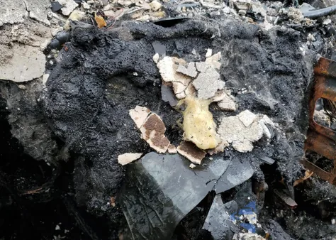 2025 Jeep Compass Limited from USA, damaged, VIN 3C4NJDCN6ST504236